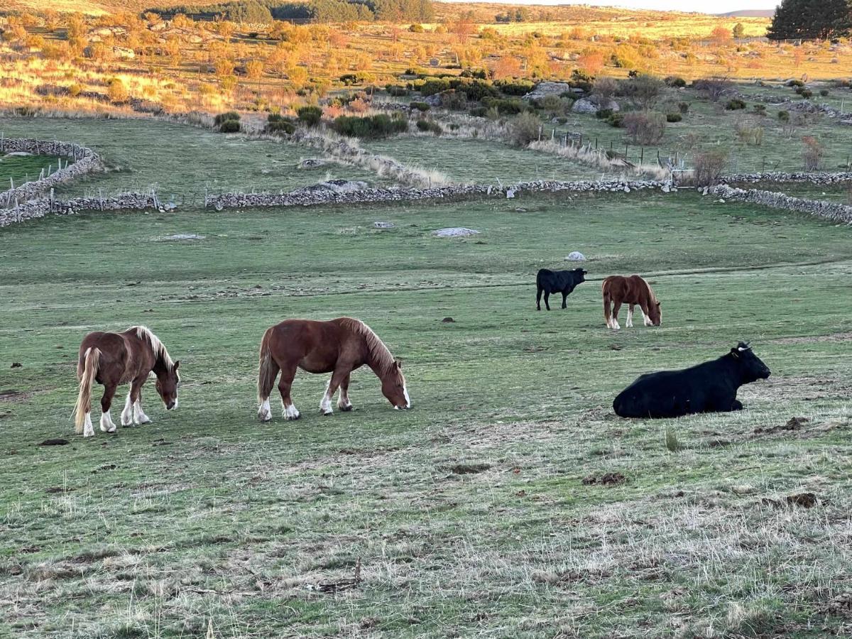 Апартаменты La Nava De Gredos Acogedor Piso Con Vistas Наварредонда-де-Гредос Экстерьер фото